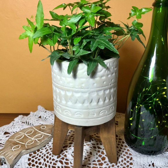 White Ceramic Planter ~ Wood Stand - Picture 1 of 4